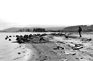 Lipno lake, with Helga Eibl